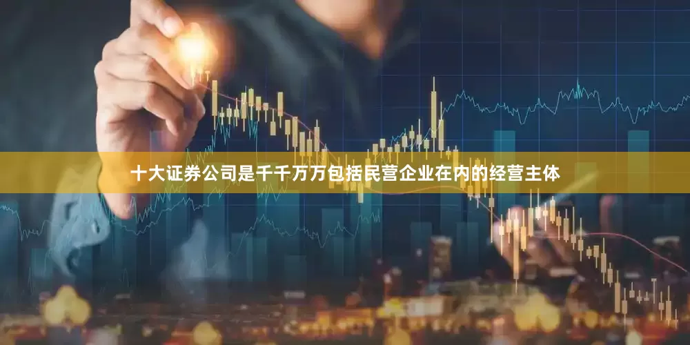 十大证券公司是千千万万包括民营企业在内的经营主体