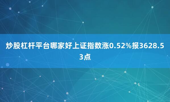 炒股杠杆平台哪家好上证指数涨0.52%报3628.53点