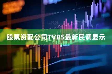 股票资配公司TVBS最新民调显示